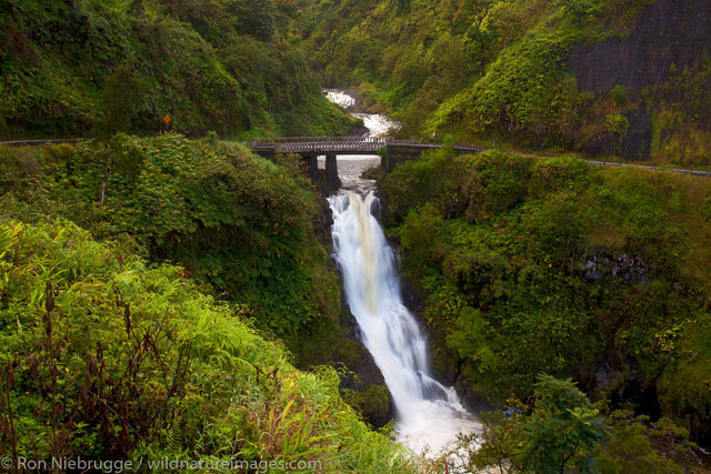 Maui Photos - Pictures 