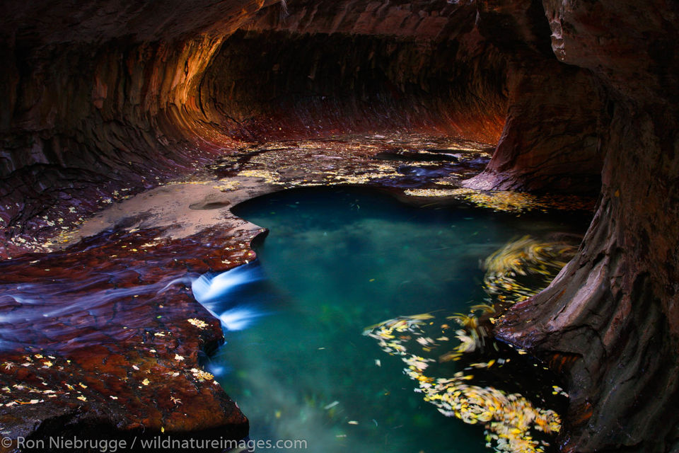 The Subway Zion National Park Utah Ron Niebrugge Photography