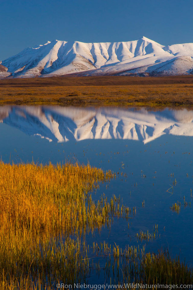 Brooks Range Alaska Ron Niebrugge Photography   150904 047 Brooks Range 