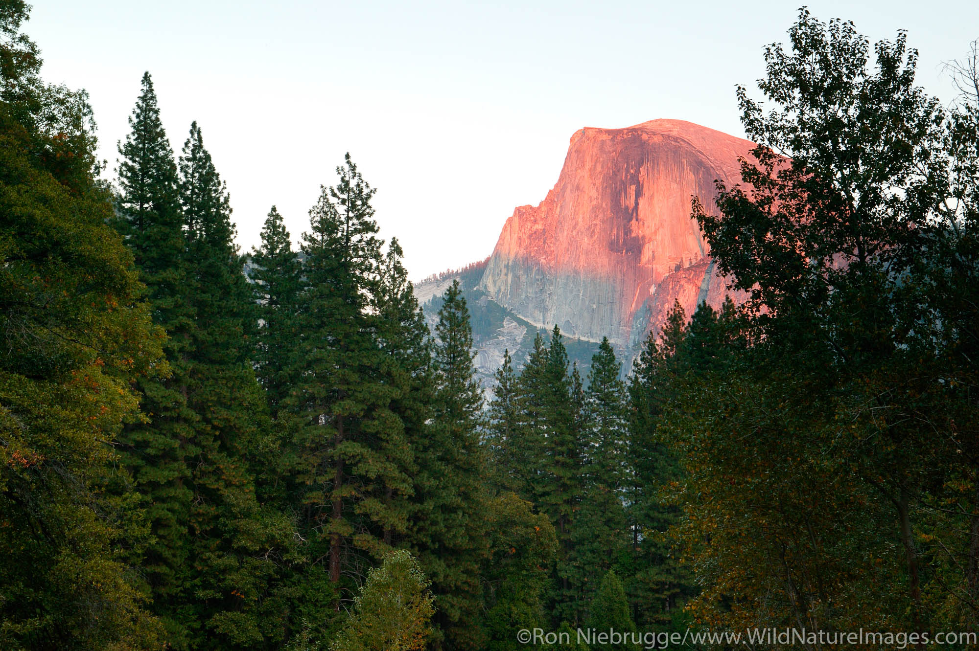 Half Dome | Photos by Ron Niebrugge