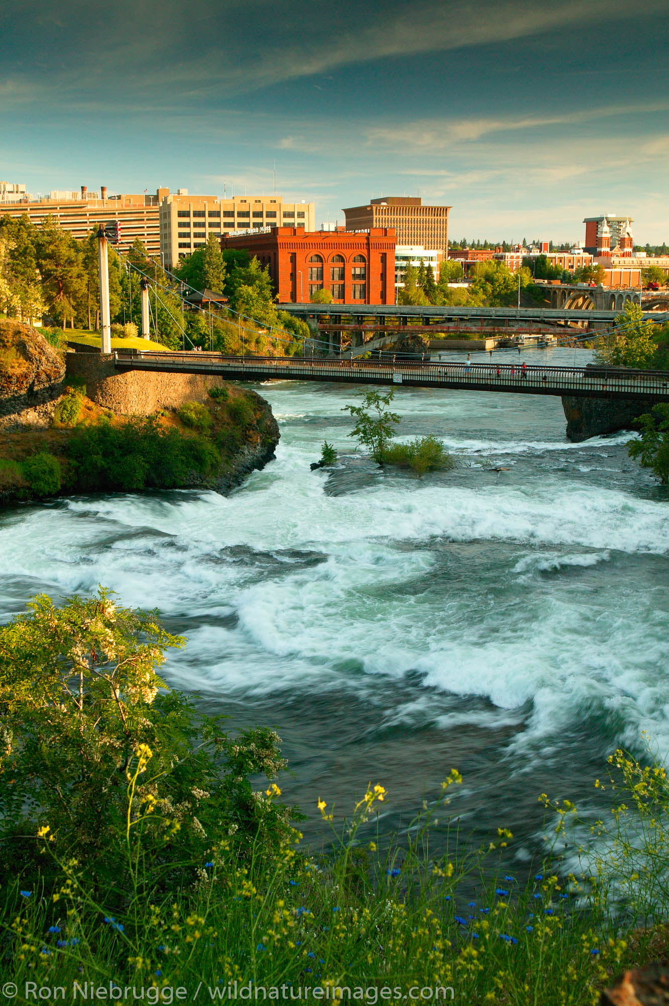 Spokane River | Photos by Ron Niebrugge