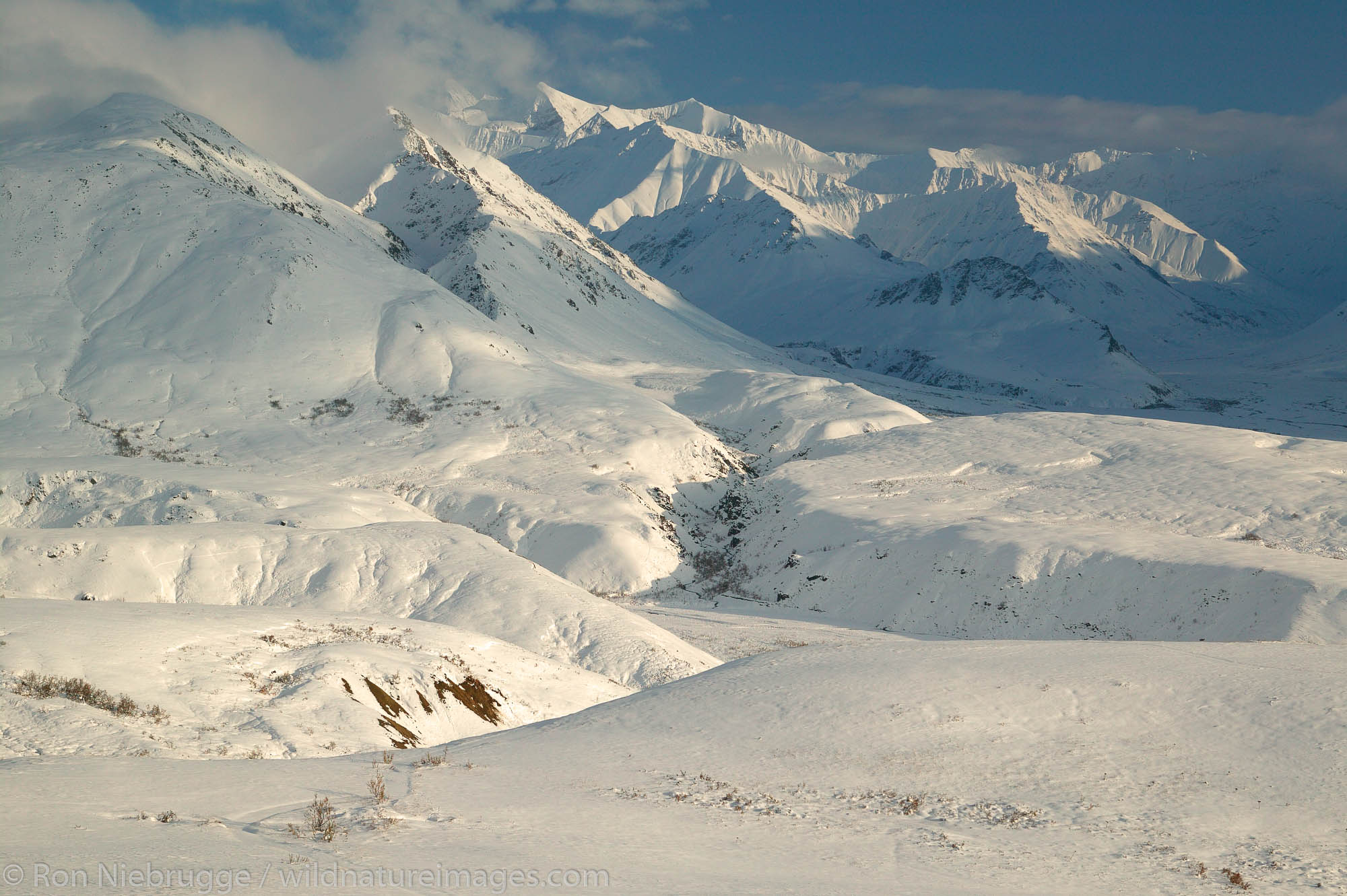 Denali National Park 