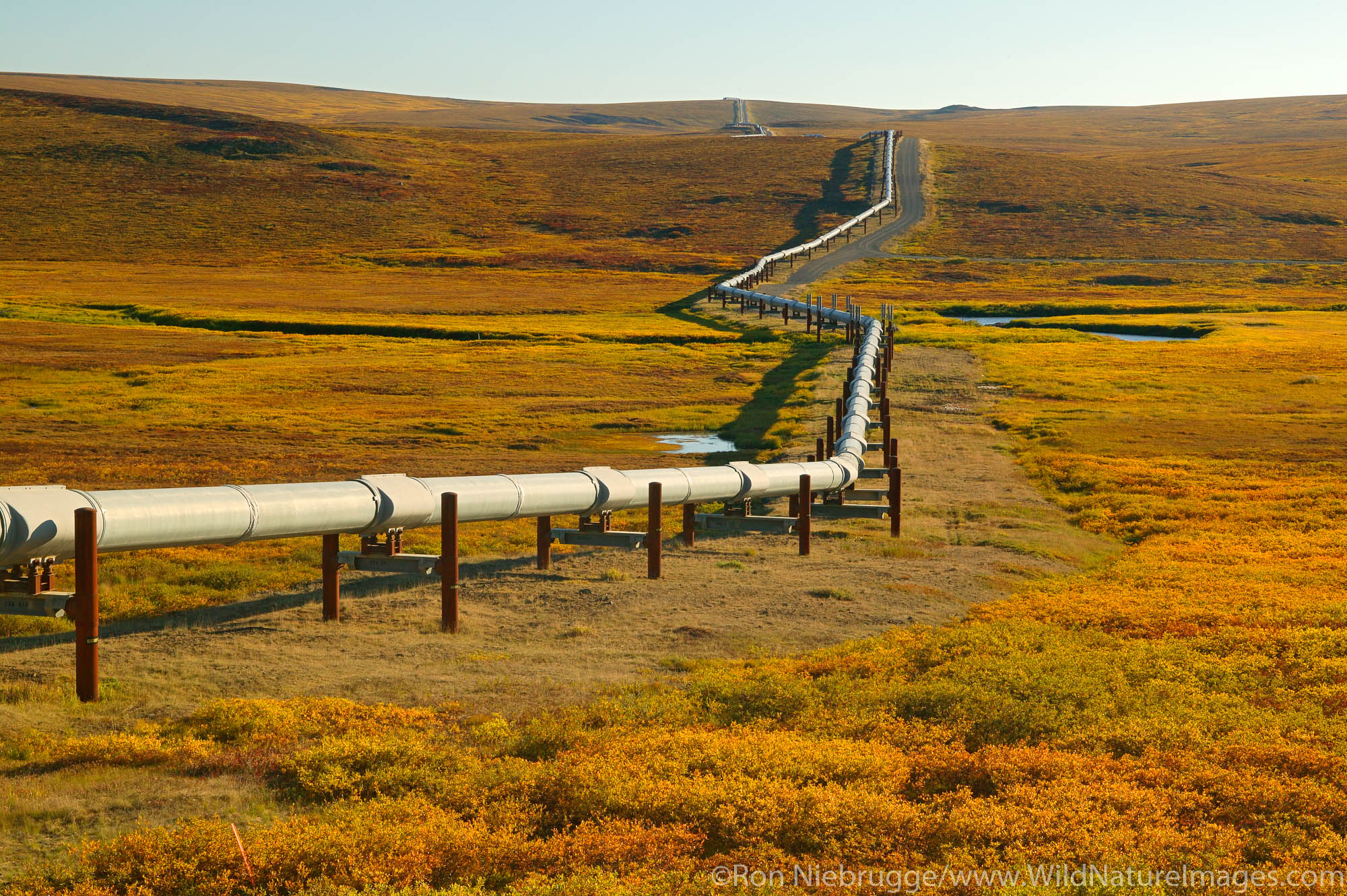 Trans Alaska Pipeline Photos By Ron Niebrugge   050813 179 Trans Alaska Pipeline 