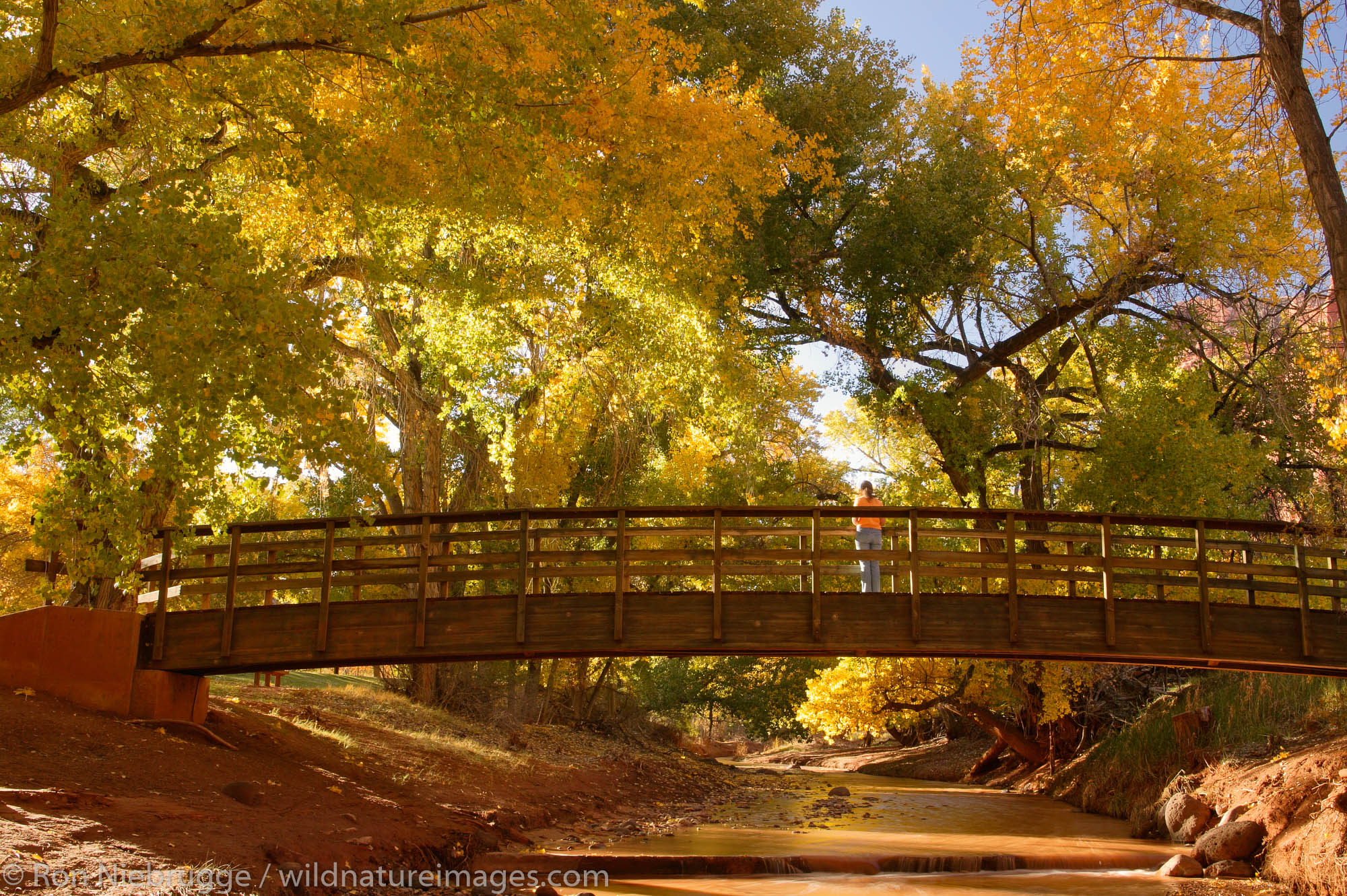 Capital Reef National Park | Photos by Ron Niebrugge