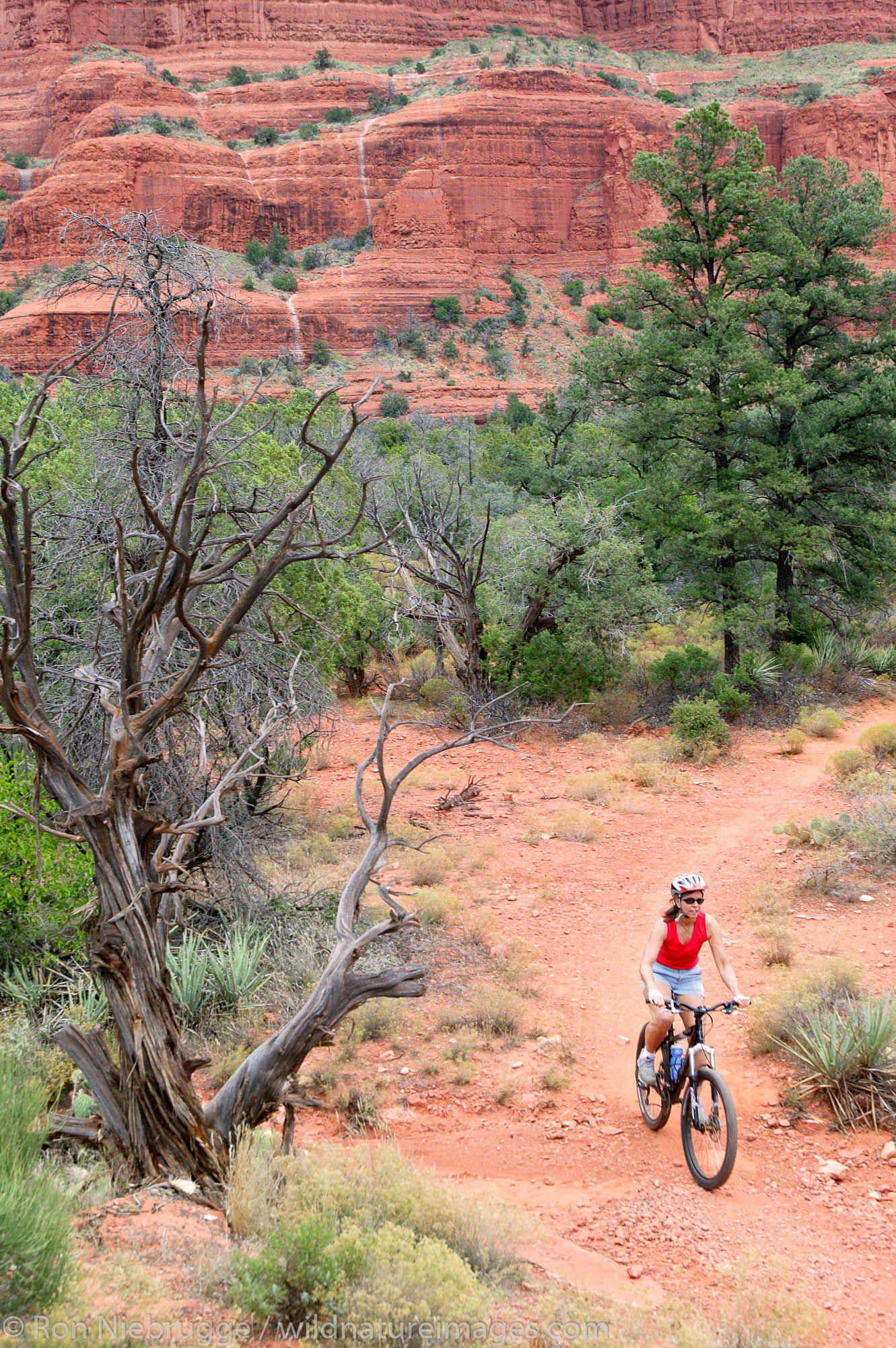 mountain biking near Bell Rock Photos by Ron Niebrugge