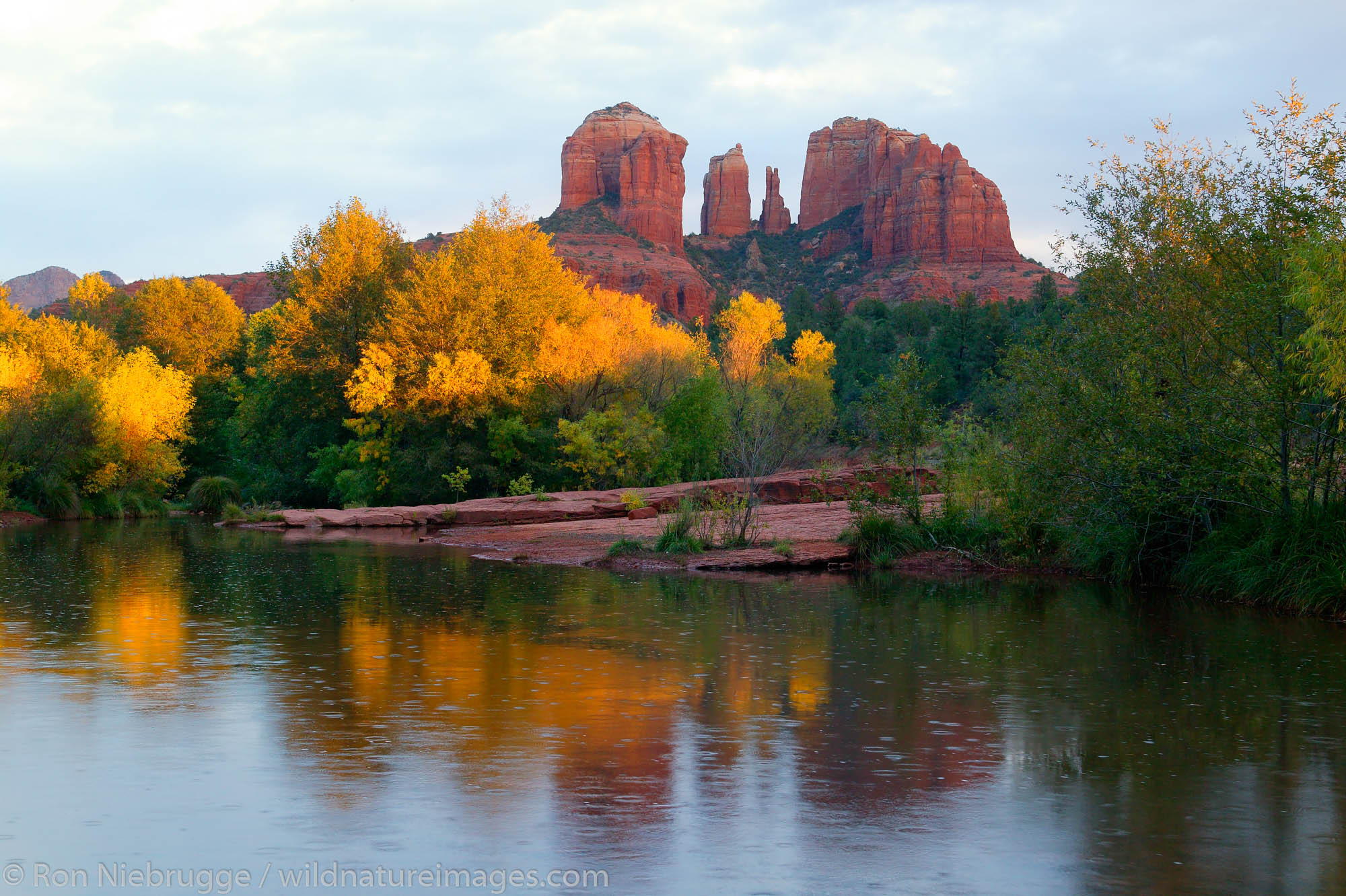 Oak Creek Sedona Arizona Photos By Ron Niebrugge 7336