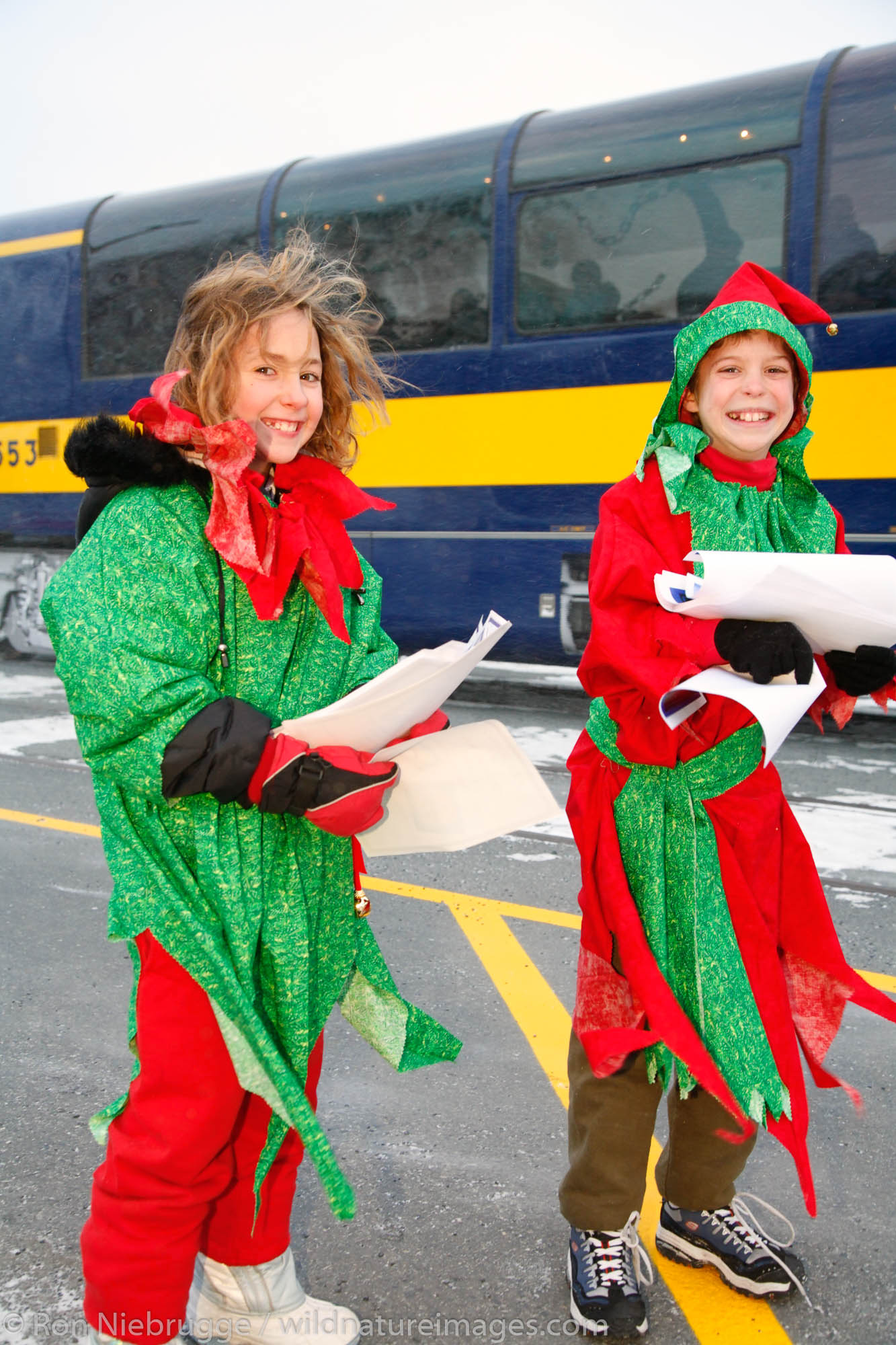 alaska-railroad-photos-by-ron-niebrugge