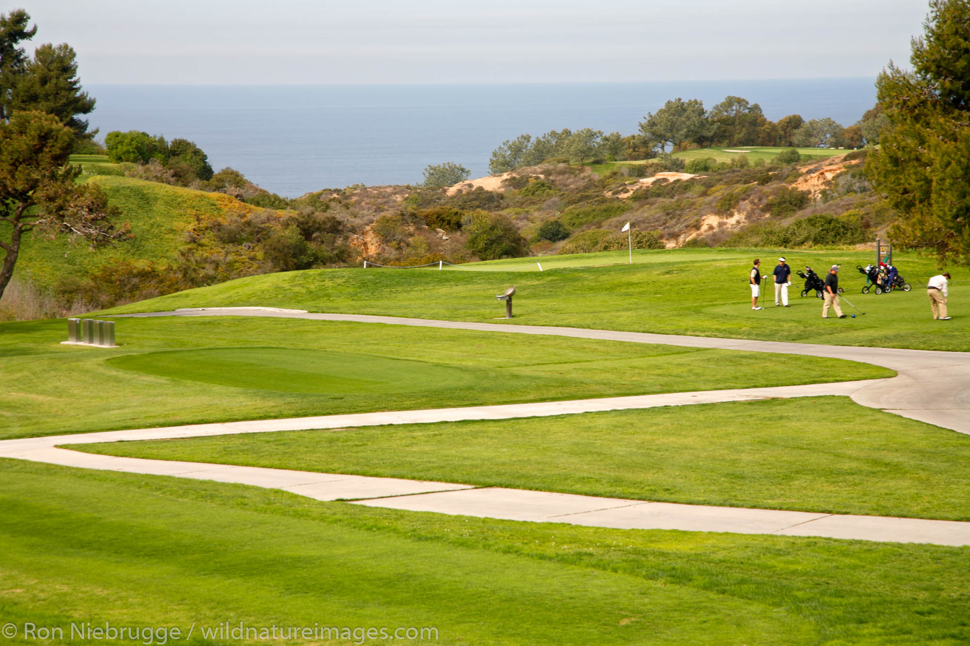 Torrey Pines Golf Course Photos by Ron Niebrugge