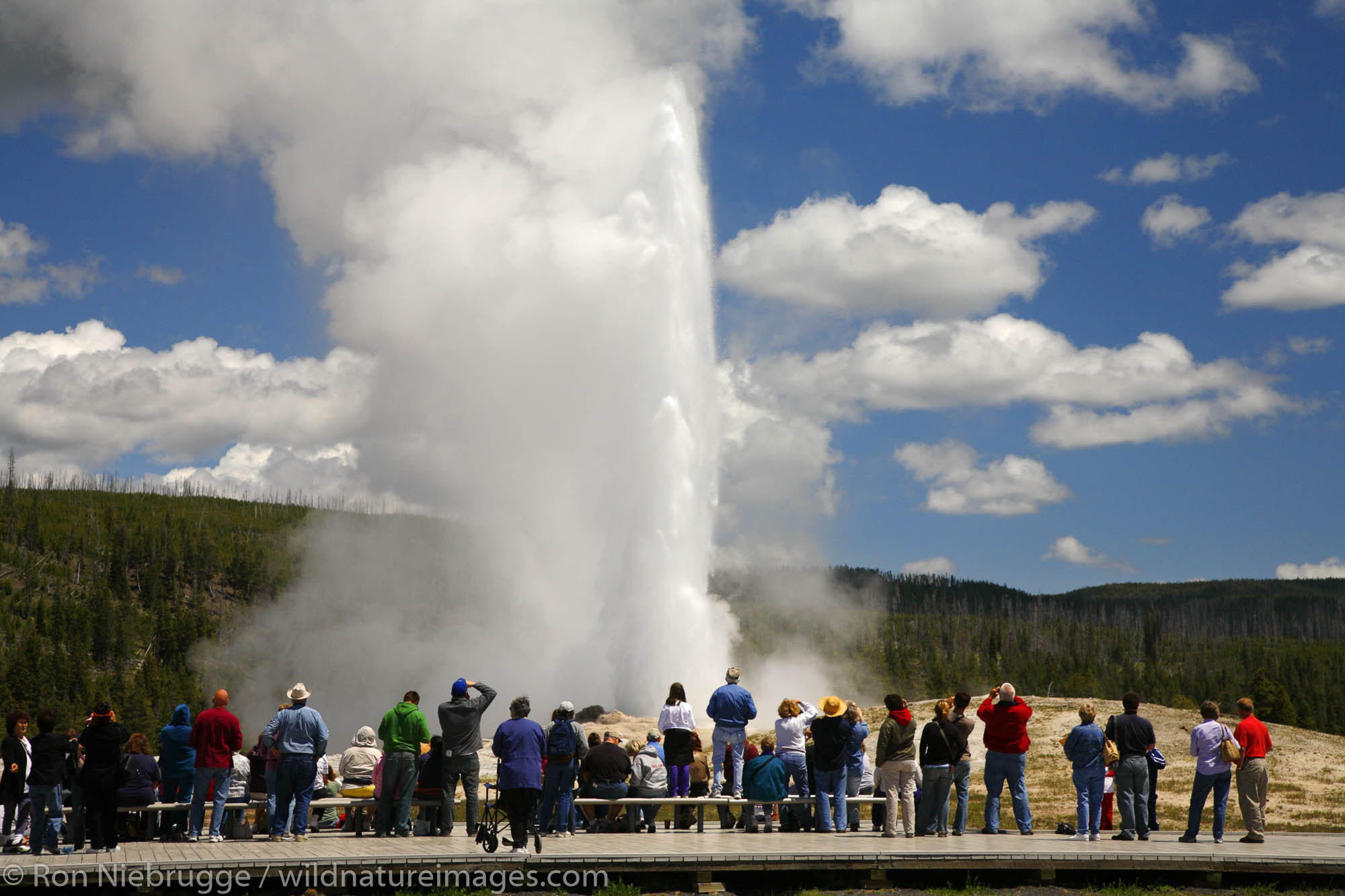 Old Faithful Geyser | Photos by Ron Niebrugge