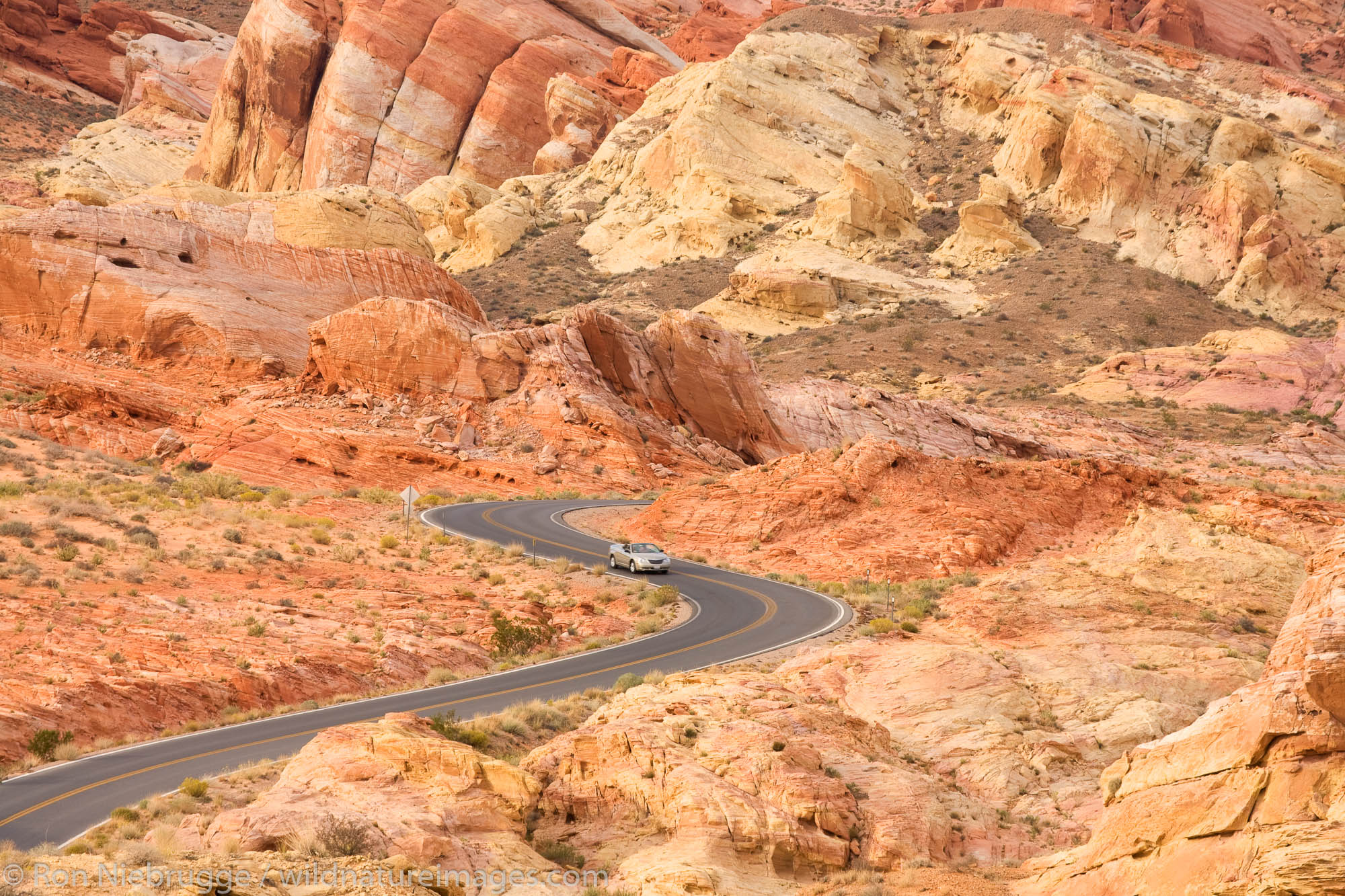 Road In Valley Of Fire State Park, Nevada | Photos By Ron Niebrugge