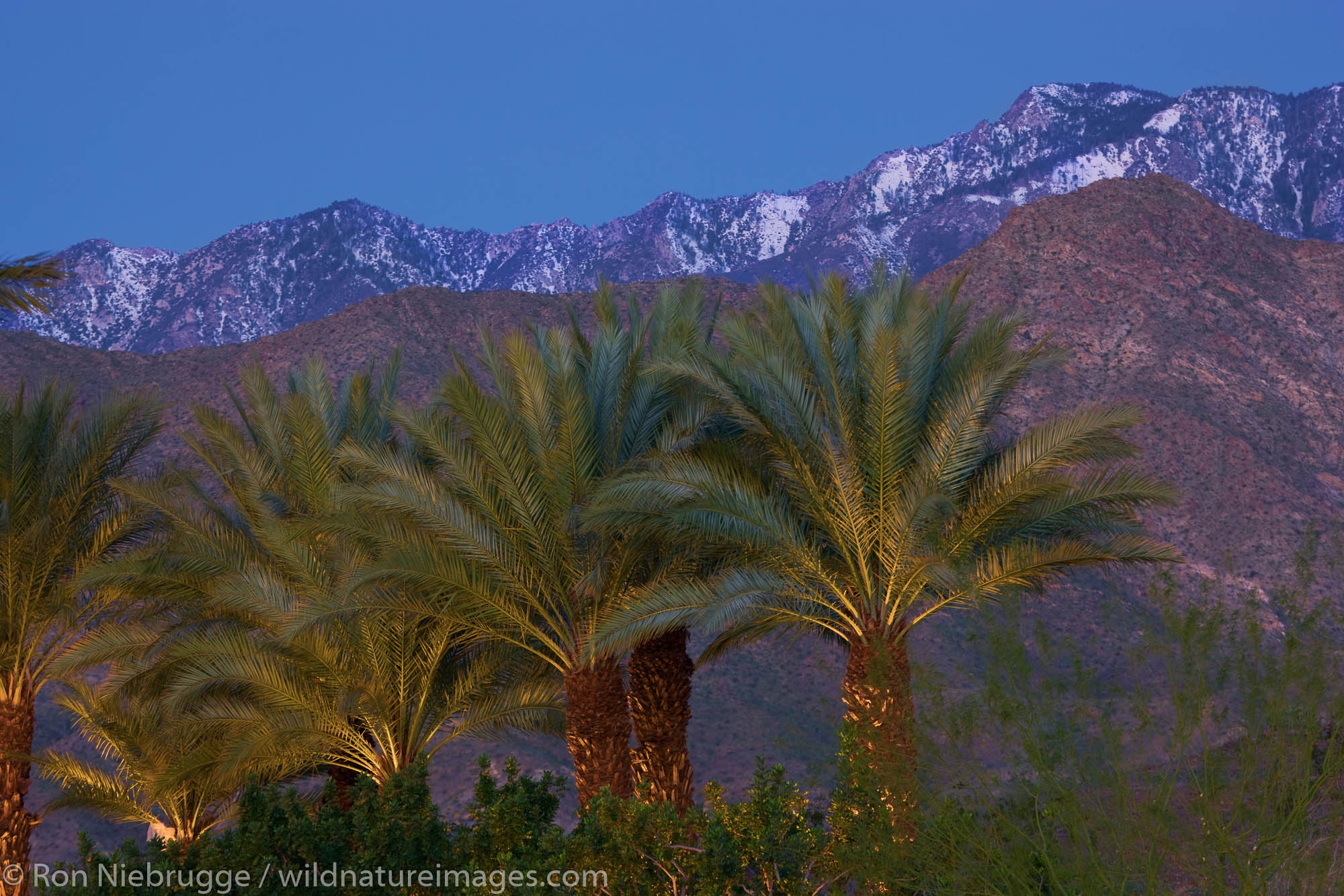 rancho-mirage-palm-springs-california-photos-by-ron-niebrugge