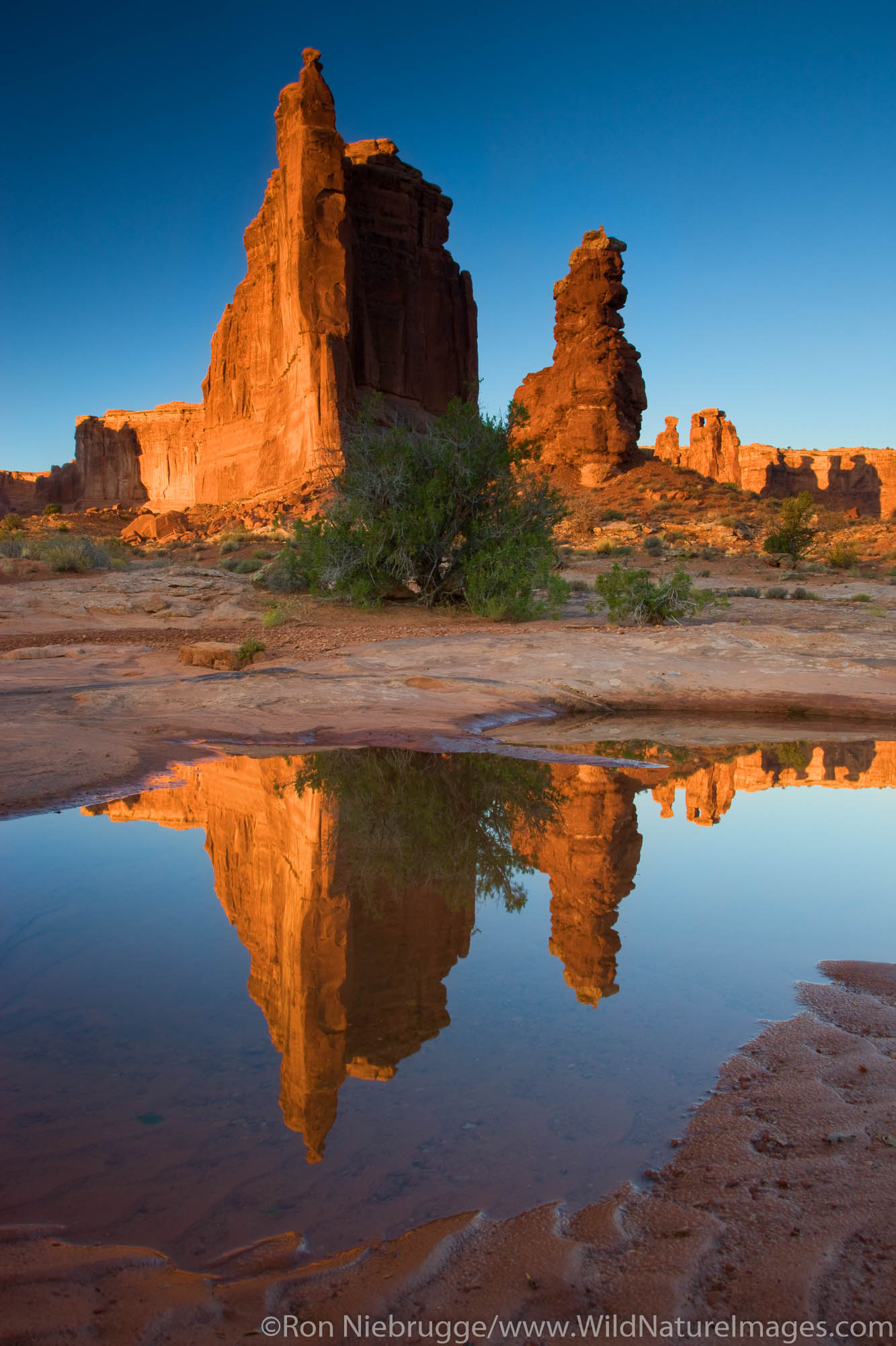 The Courthouse Towers | Arches National Park, Utah | Photos By Ron ...