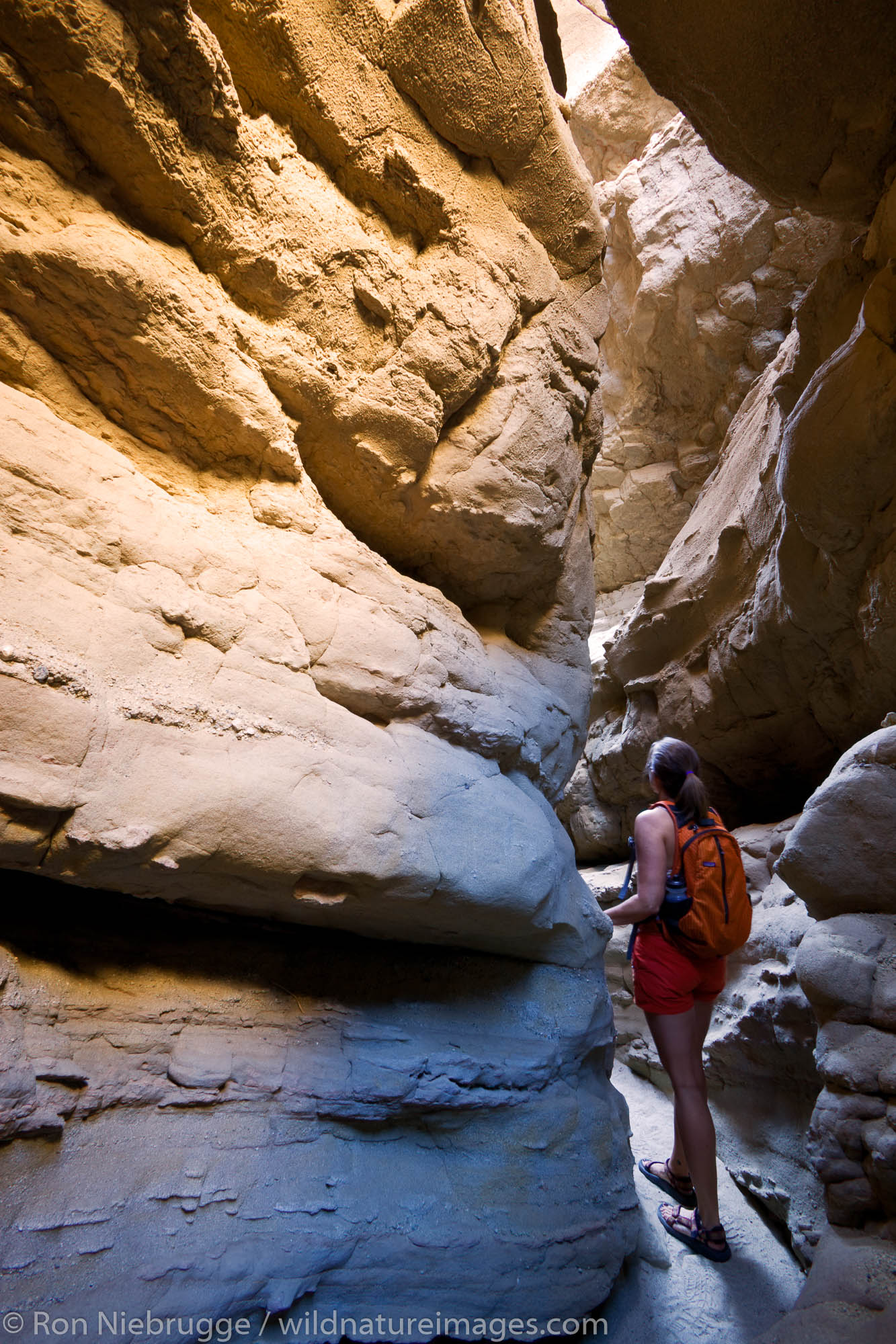 Slot Canyon | Photos by Ron Niebrugge