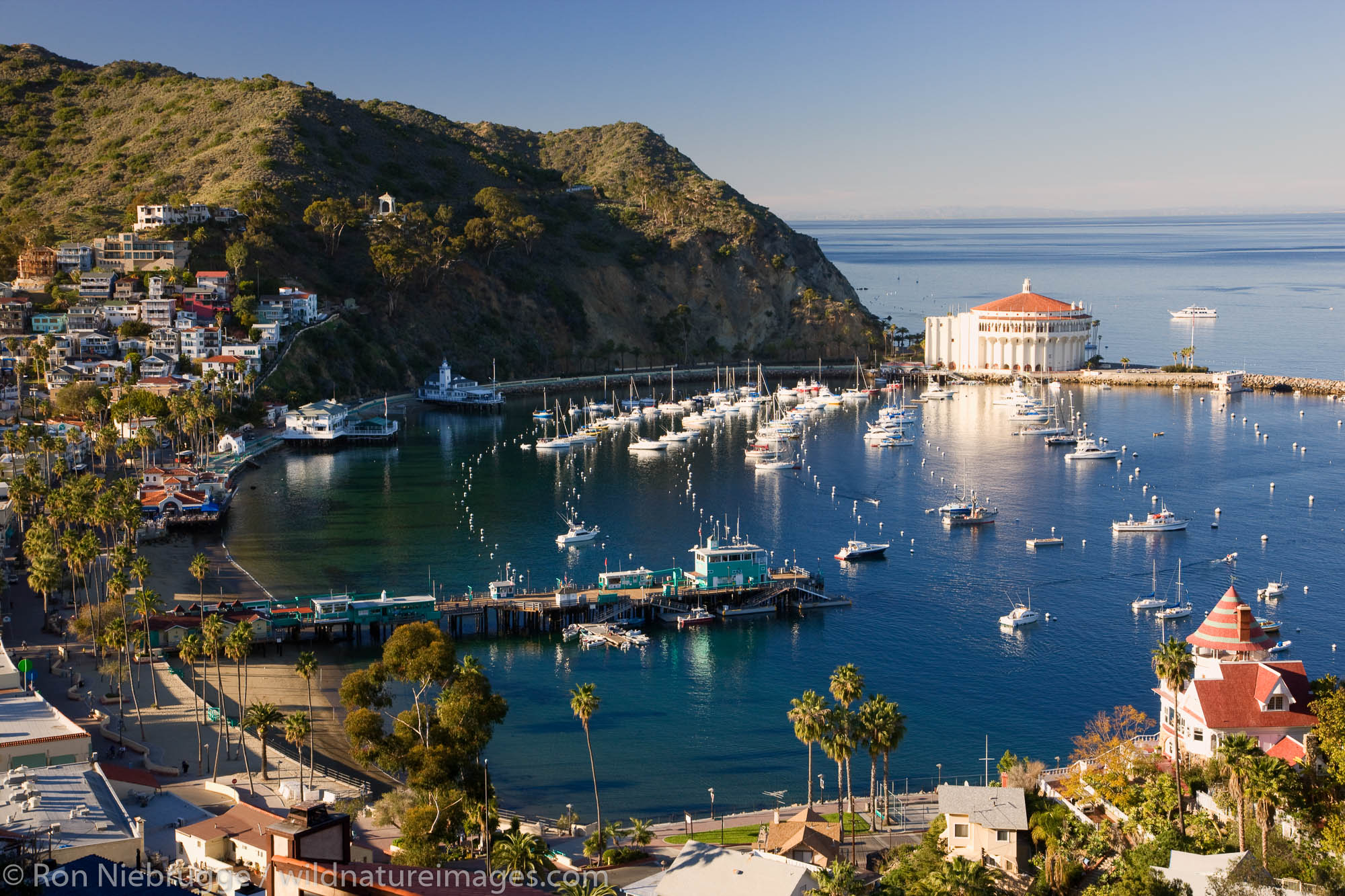 Avalon | Catalina Island, California. | Photos by Ron Niebrugge