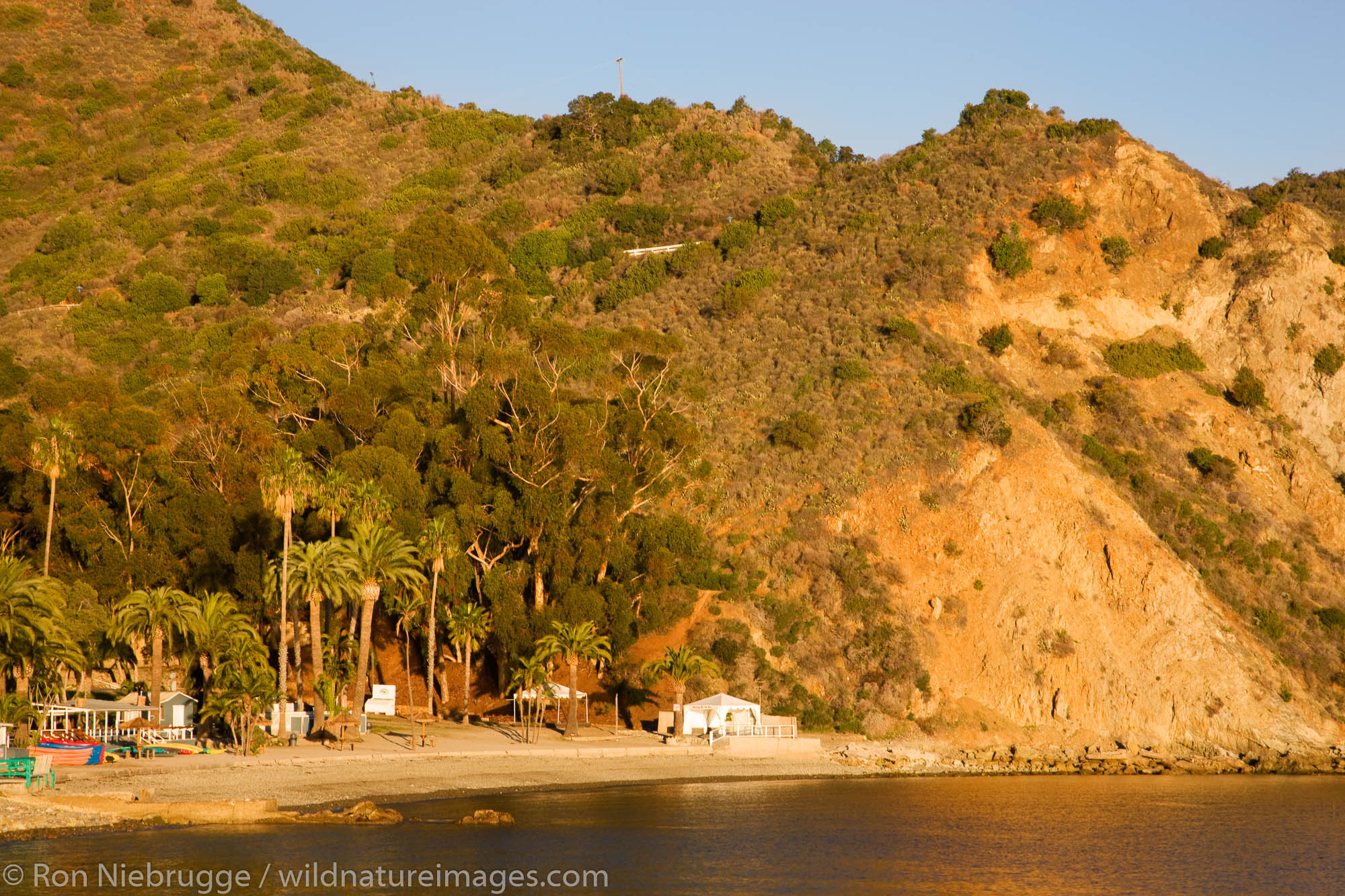 catalina-island-photos-by-ron-niebrugge