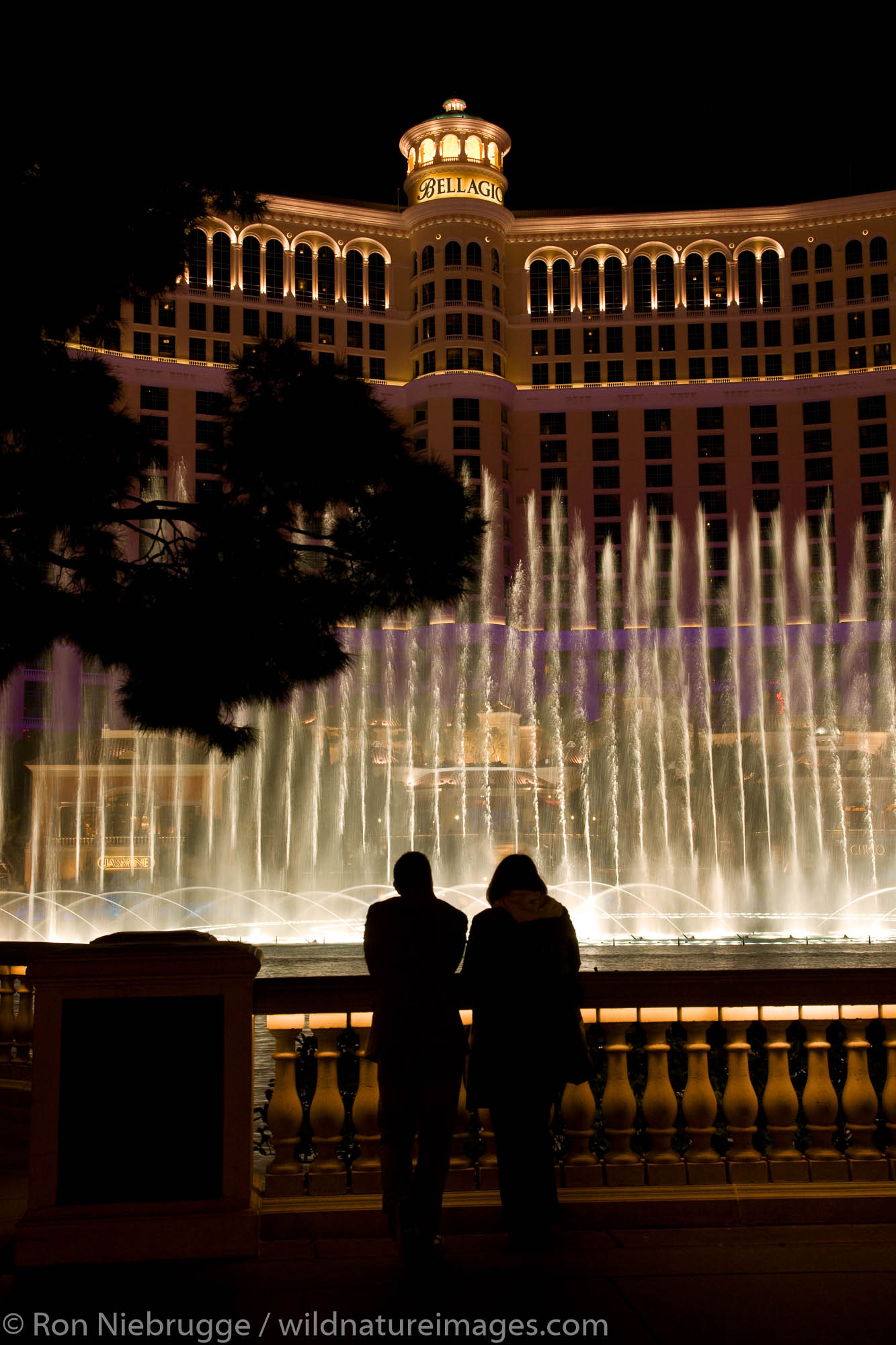 bellagio hotel and casino