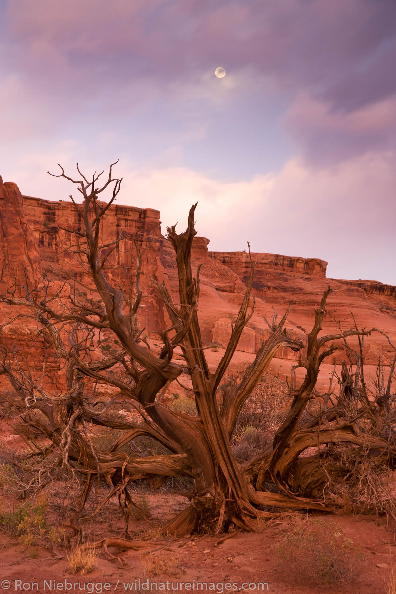 Courthouse Towers Area | Arches National Park, Utah | Photos By Ron ...