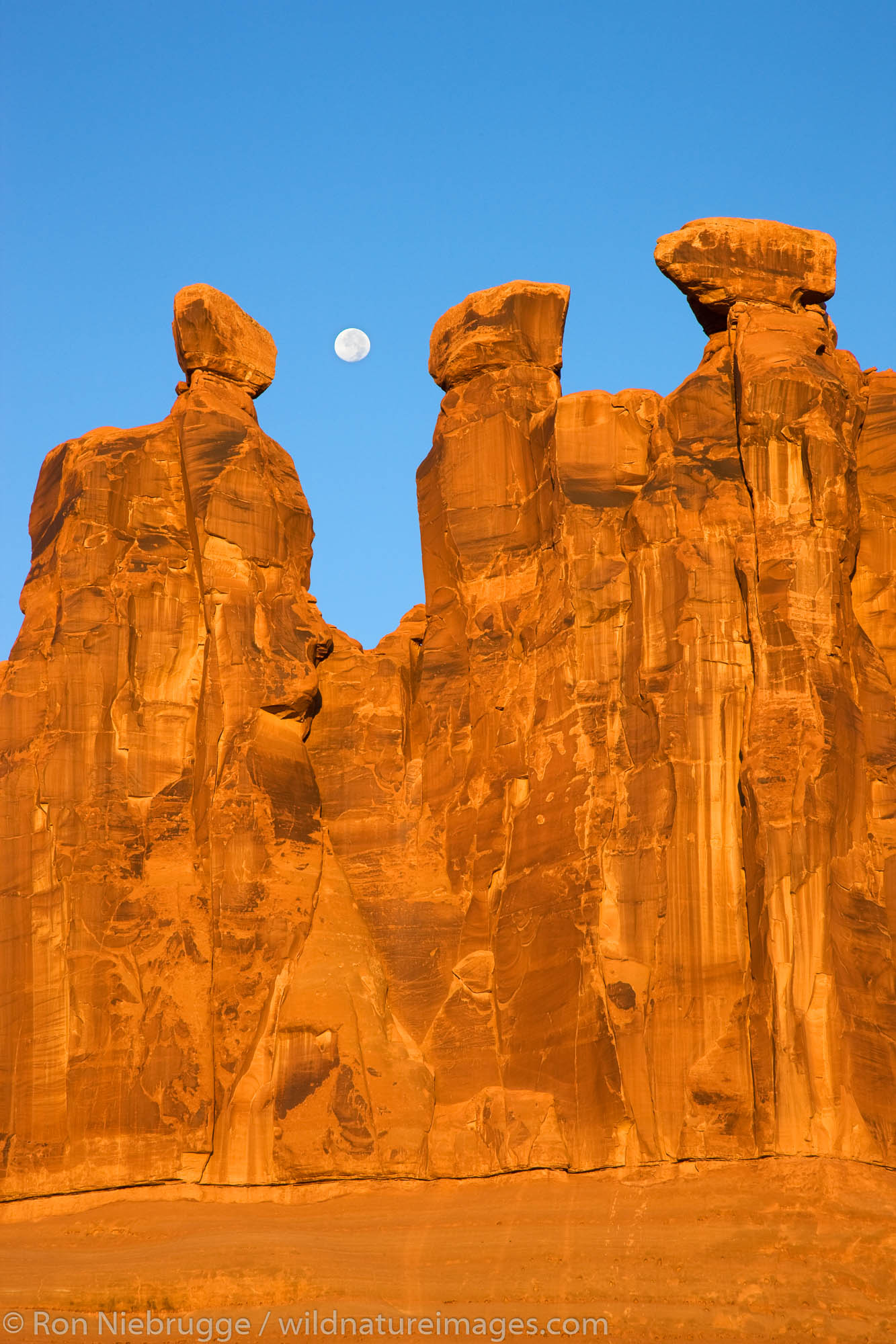 Arches National Park, Moab | Photos By Ron Niebrugge