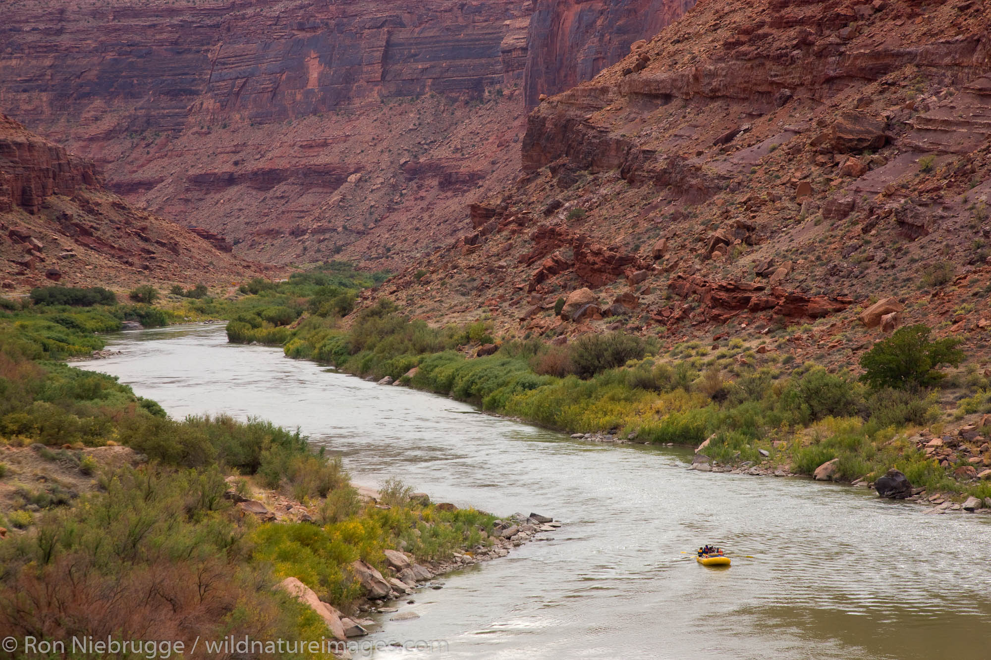 Colorado River, Near Moab, Utah | Photos By Ron Niebrugge