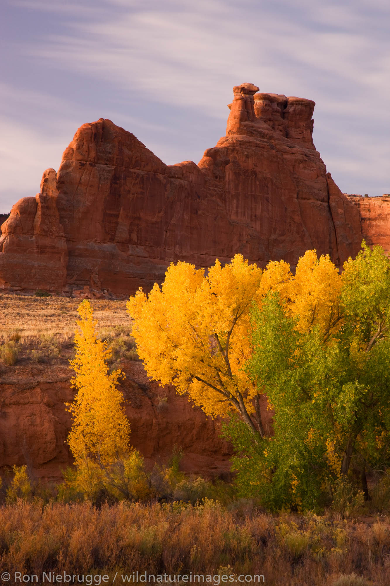 Arches National Park, Moab | Photos By Ron Niebrugge