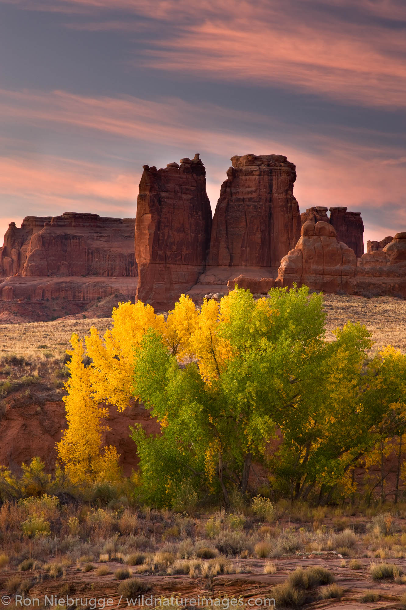 Arches National Park, Moab | Photos By Ron Niebrugge