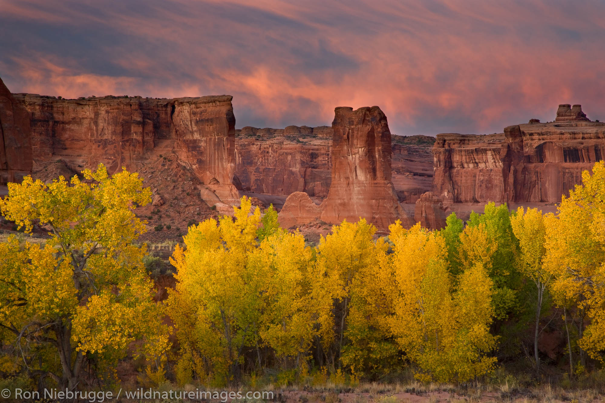 Courthouse Wash | Arches National Park, Utah | Photos By Ron Niebrugge