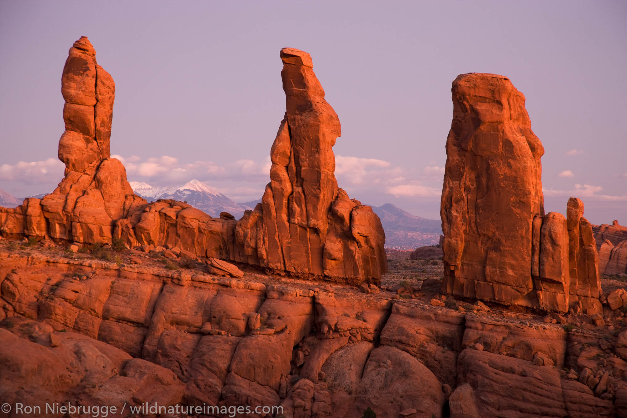 Marching Men Formation, Klondike Bluffs | Arches National Park, Utah ...