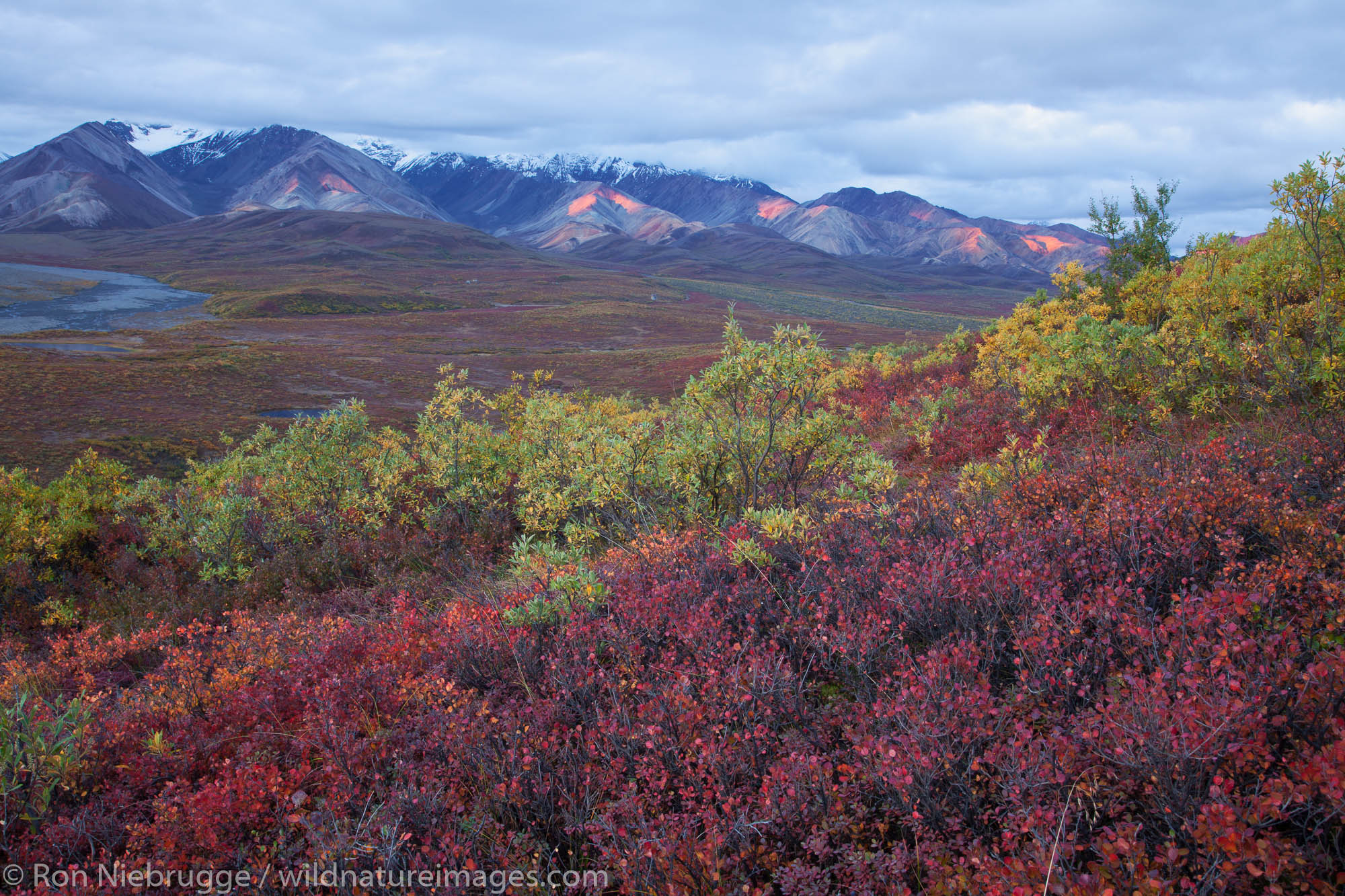 Fall Colors | Photos by Ron Niebrugge