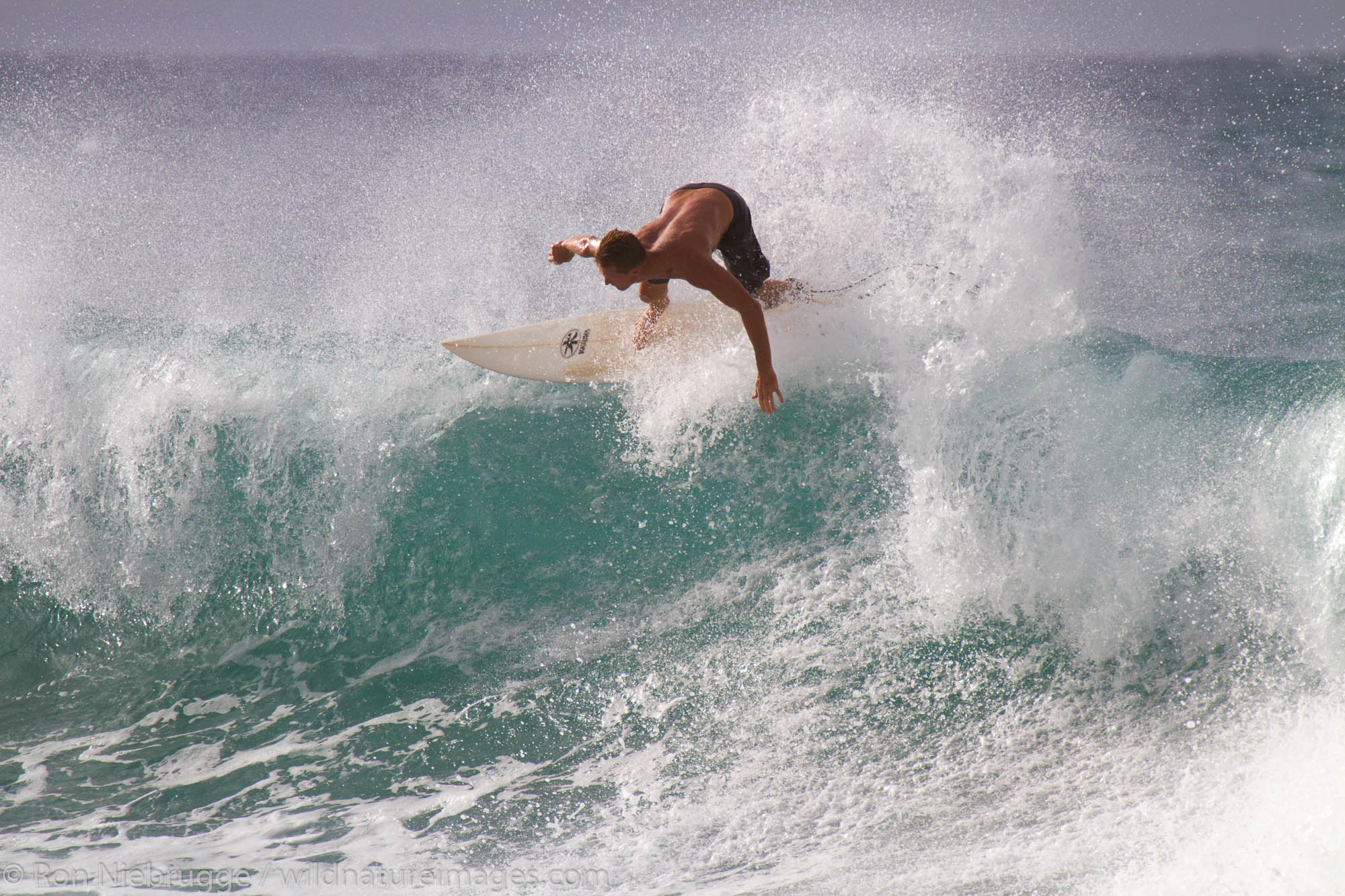 Surfers Maui Hawaii Photos By Ron Niebrugge   111110 069 Surfers Maui Hawaii 