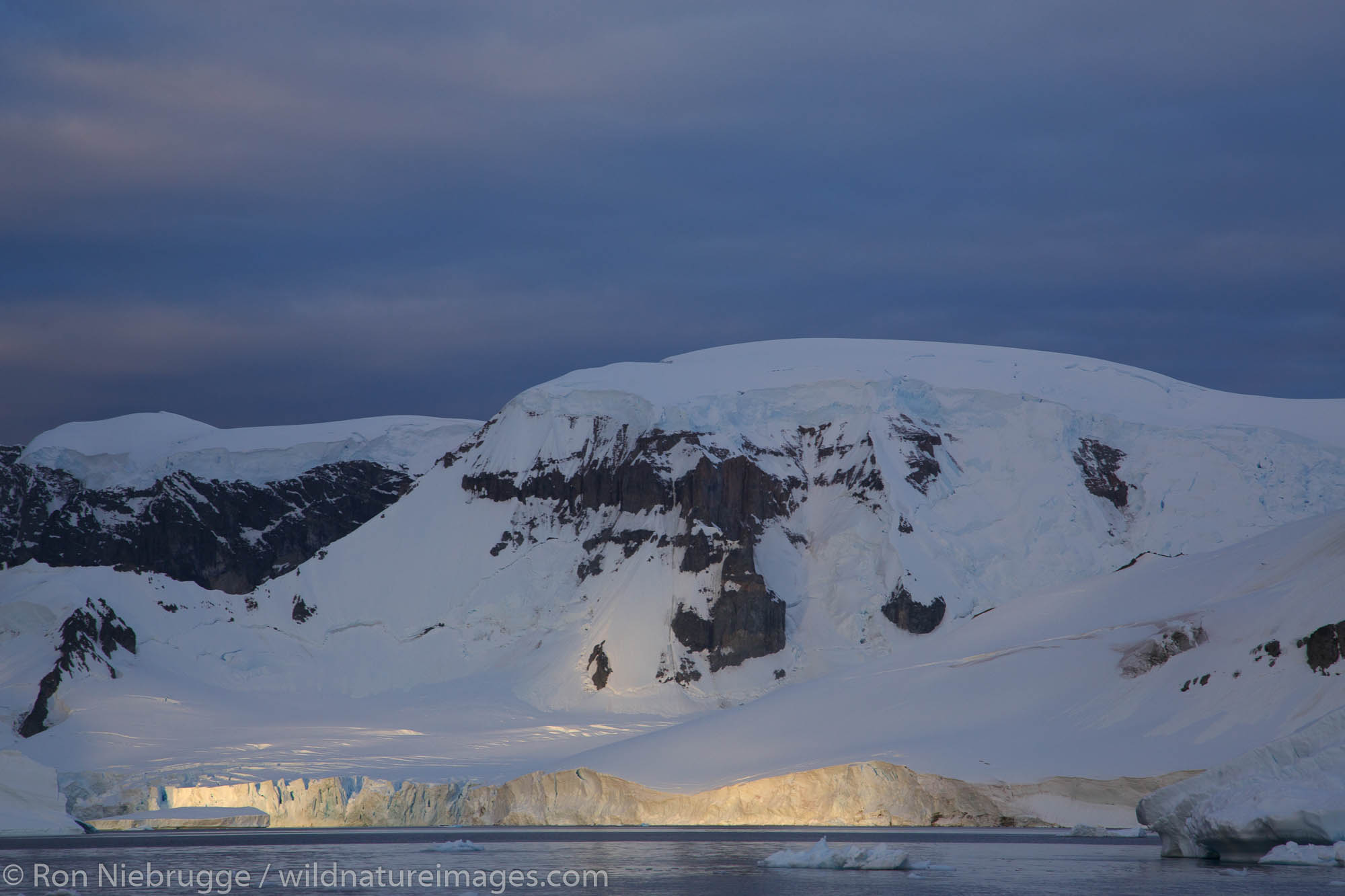 Danco Island, Antarctica | Photos by Ron Niebrugge