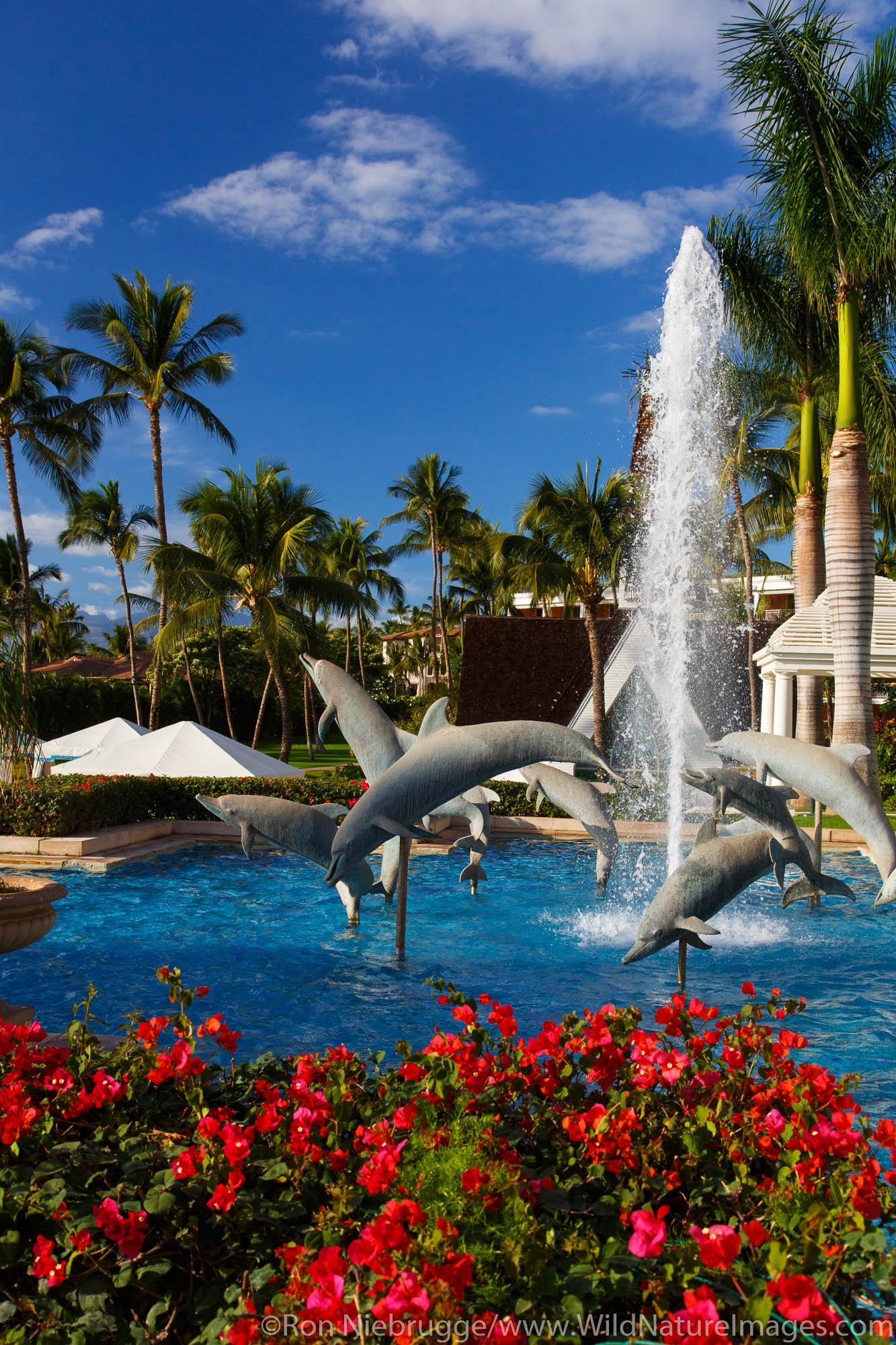 Grand Wailea Maui | Photos by Ron Niebrugge