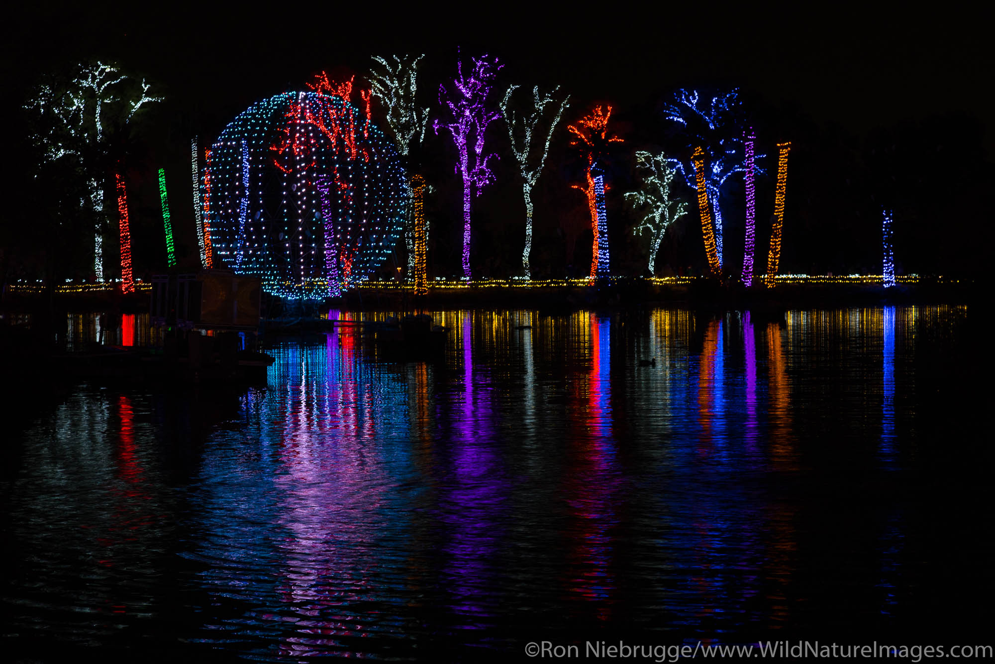 Phoenix Zoo | Photos by Ron Niebrugge