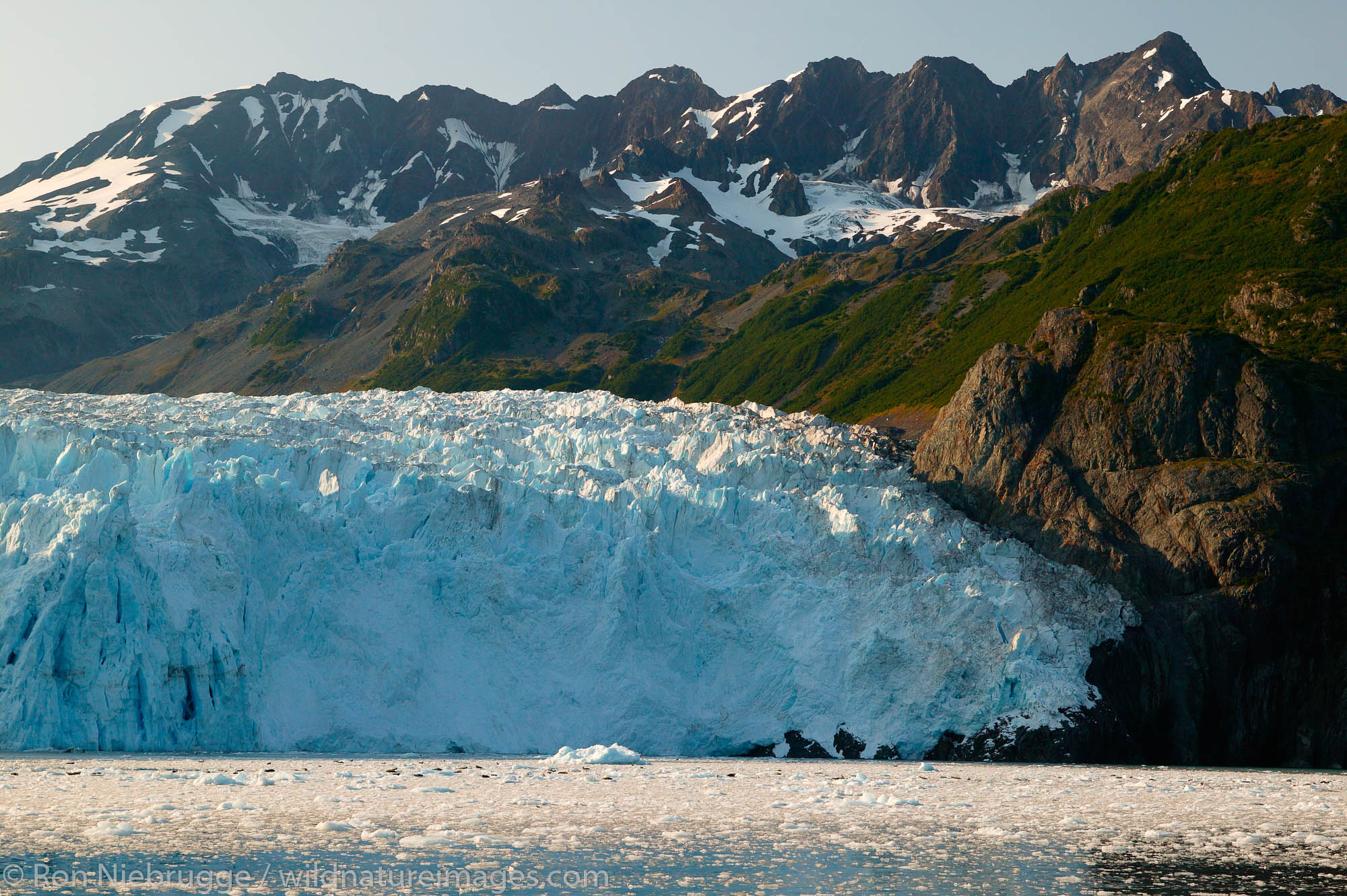 Aialik Glacier | Photos By Ron Niebrugge