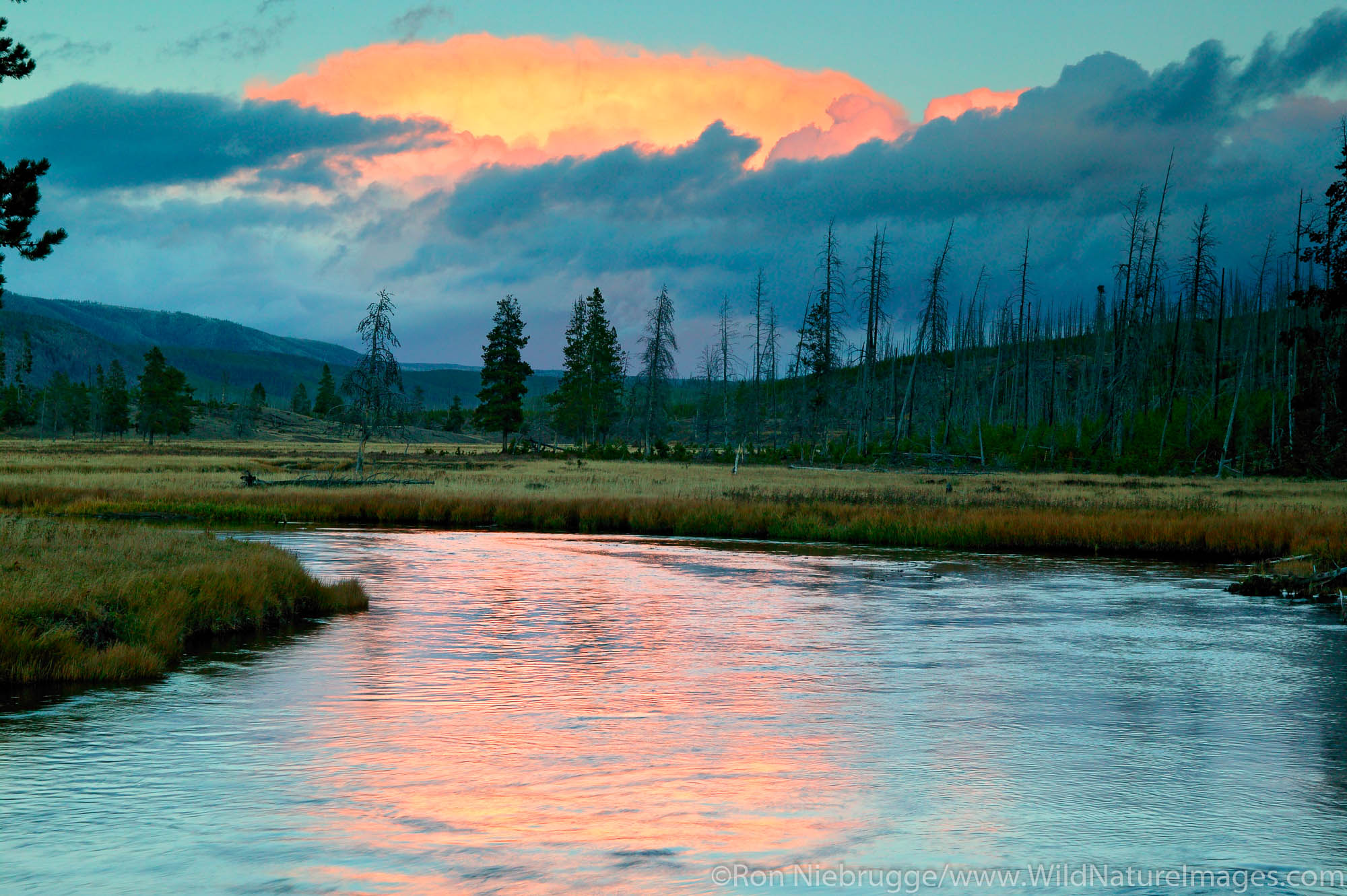 Gibbon River | Yellowstone National Park, Wyoming. | Photos by Ron ...