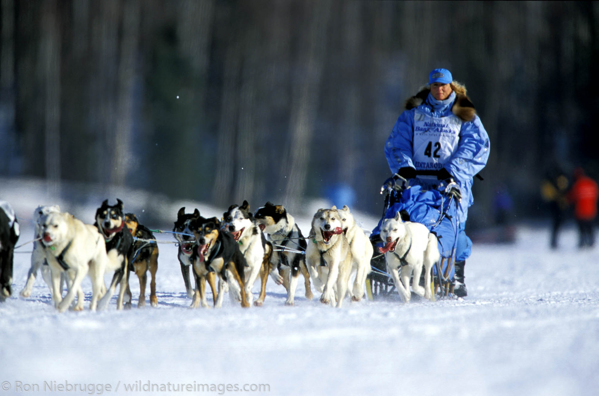 DeeDee Jonrowe Iditarod | Alaska | Photos by Ron Niebrugge