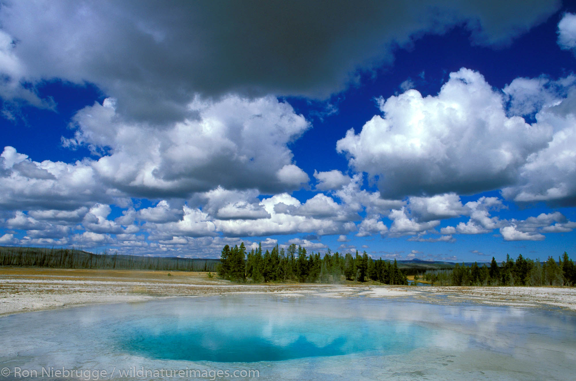 Morning Glory Pool Yellowstone National Park Wyoming Photos By Ron Niebrugge